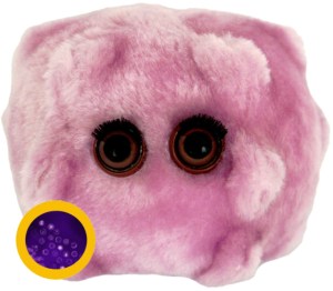 cuddly microbes